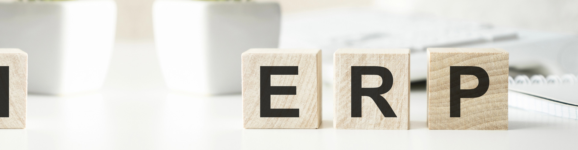 Maximizing Your Business Efficiency & Growth