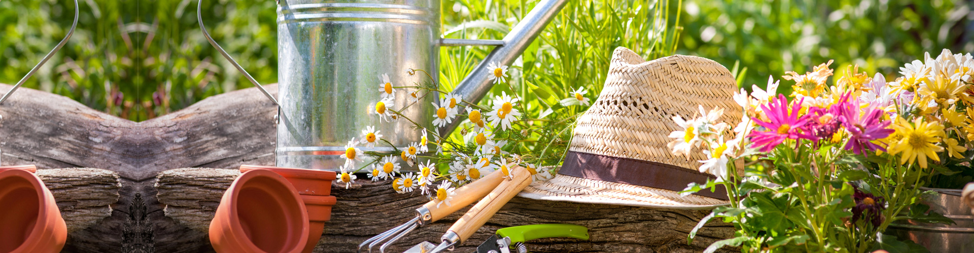 Home And Garden Industry